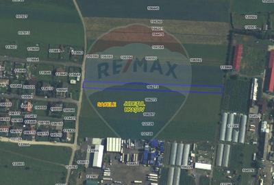 Teren intravilan, 3000 mp, lângă Kaufland Săcele - 3