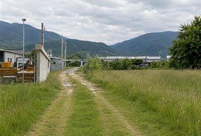 Teren extravilan  de vanzare Talmaciu - 5
