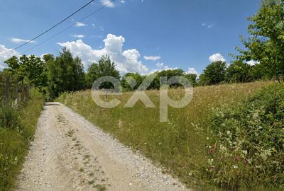 Teren agricol extravilan de 11368 mp, în Poiana Mărului