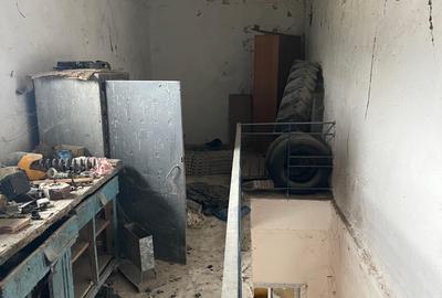 Complex industrial/Ferma de vânzare | Orțișoara, jud. Timiș - 24