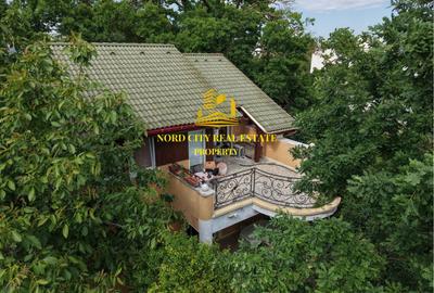 VILA PE MALUL LACULUI | IZVORANI | PONTON PROPRIU - 25