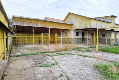 Casă cu 5 camere, teren 1.326 mp, Săvinești, Neamț - 14