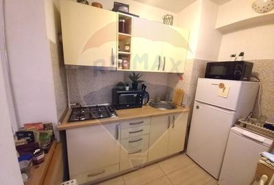 Apartament cu 1 camere de inchiriat in zona Ultracentral - 4