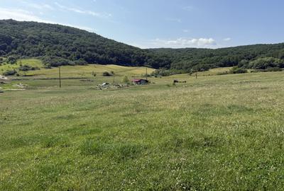 Exclusivitate! Com0%! Teren în Dezmir 5800mp Intravilan/Extravilan front 16,2ml - 7