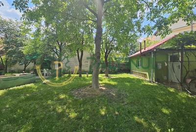 Casa de vanzare pe un nivel in Turnisor, Sibiu - 12