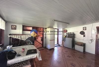 CASǍ cu teren 6329 mp - ALEXANDRU cel BUN - 10