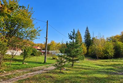 DE VANZARE 5.057 MP TEREN MIXT- MILCOIU, jud VÂLCEA - 1