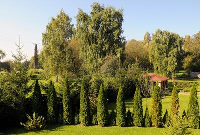 În Gyula, două proprietăți imobiliare de vânzare în zona turistică - 6