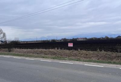 Teren 50000mp Extravilan-Intrare Halchiu-Cod 5235 - 2