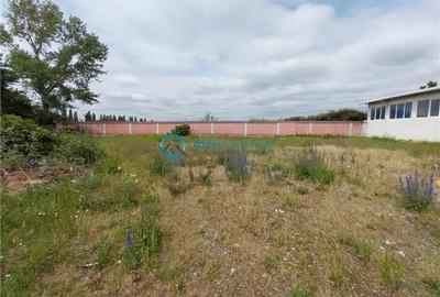 Royal Imobiliare - Vanzare Spatiu Industrial zona Exterior Est - 14