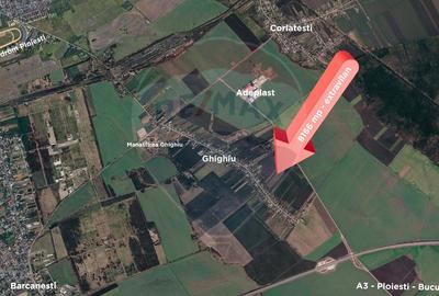 Teren agricol EXTRAVILAN - 8166 mp, Ghighiu — acces DN1A si A3 - 1