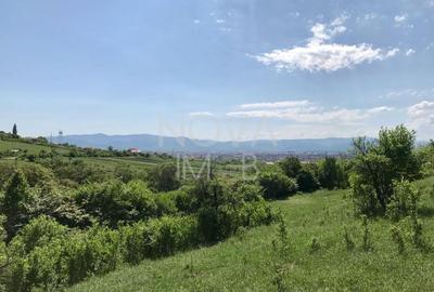 Teren agricol extravilan de 8000 mp, în Gușterița