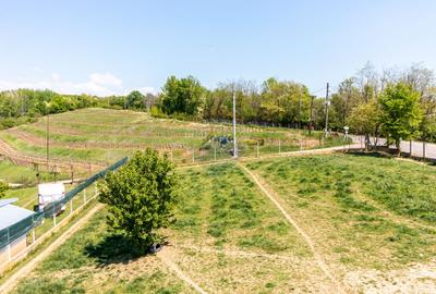 Teren 1.018 la 15 min de Ploiești | premium | zona dealuri - 4