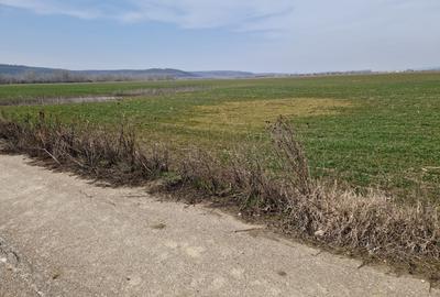 Teren Construcții intravilan de 3300 mp, în Șimnicu de Sus