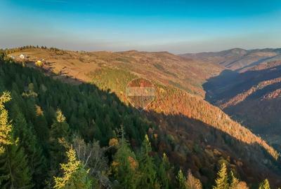 Pensiune/Cabana de vanzare Marisel | 3.012 mp | Business turistic - 11