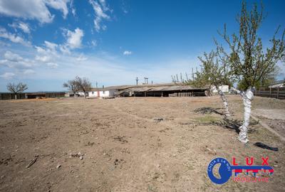 ID 7905 Oportunitate investiție agro-industrială - EXCLUSIVITATE - 10