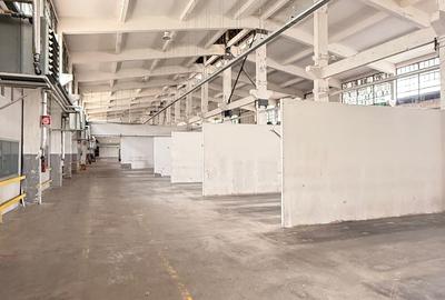 Hală industrială de vânzare / închiriere – suprafață mare, acces facil! - 19