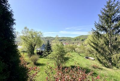 Refugiu Slanic Prahova, Casa cu 5.2 Ha, Panoramă,  Natura & Potențial Turistic - 35