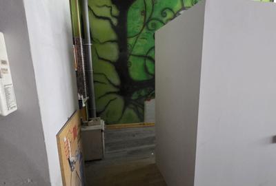 SPATIU COMERCIAL| 227 MP UTILI | ULTRACENTRAL| TERMEN LUNG| - 19
