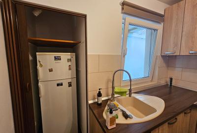 Închiriere casă P+E, 3 camere, 2 băi, curte, C. Șagului - Brâncoveanu - 8