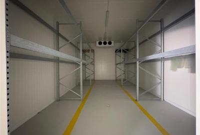 Hale depozitari simple, refrigerare, congelare, de la 200mp la 800mp Letcani, zo - 6