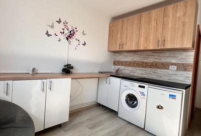 Apartament de inchiriat, o camera, Open space, 16 mp, Frumoasa - 5