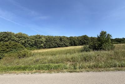 Teren Construcții intravilan de 6297 mp, în Mociu