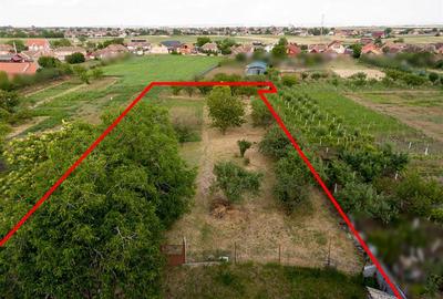 RECO Proprietate cu 2 case si teren mare in Girisu de Cris - 34