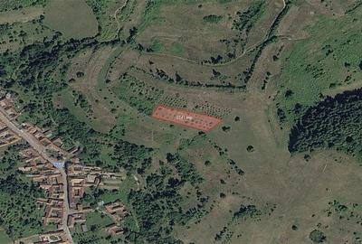 Portofoliu funciar de peste 10 hectare | Izbuc - Carpinet | Jud. Bihor - 3