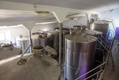 CRAMĂ PREMIUM DE VÂNZARE -60 HA- CONAC ISTORIC- PODGORIA DRĂGĂȘANI - 17