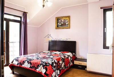 Vila spatioasa pt doua familii 10 camere Clinceni Monumentul Eroilor - 23