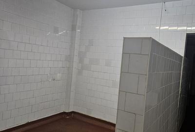 VILĂ P+1 CU SPAȚIU DE PRODUCȚIE ȘI BIROURI – ZONA ȘTEFAN CEL MARE - 7