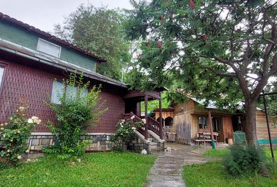 Casa gospodarului, înconjurată de natură, Comarnic - 20