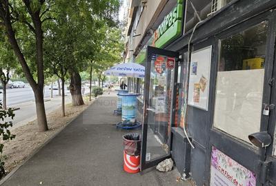 Spațiu comercial 140 mp | Craiovița Nouă – George Enescu - 3