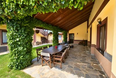 Proprietate cu doua corpuri de locuit, piscină, foisor, complet funcțională - 25