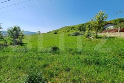 Teren Construcții intravilan de 5000 mp, în Sud
