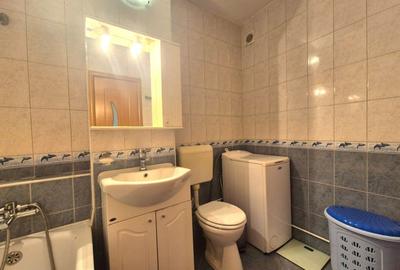 Centru Civic, apartament decomandat, ideal pentru un cuplu, pet friendly - 11