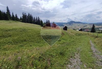 Teren 33,364mp Dorna Candrenilor / Strada Strugurel - 9