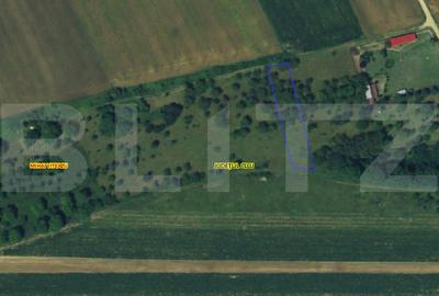 Teren Construcții intravilan de 1268 mp, în Mihai Viteazu