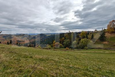 Teren Construcții extravilan de 4700 mp, în Mărișel