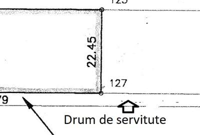 Teren Voluntari Padurea Baneasa - 2