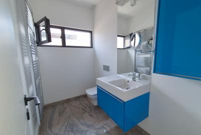 Inchiriere vila moderna Iancu Nicolae - 55