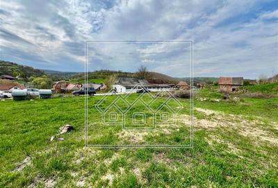 Spațiu comercial, de 320 mp, în Șeica Mică