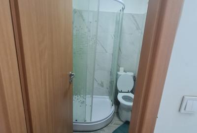 Apartament cu 1 camera - zona  Poitiers - fostul Siraj - Pet Friendly - 9
