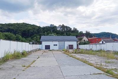 Proprietate cu 2 hale si casa la inchiriat,teren 1350mp - 1