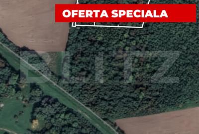 Teren extravilan de 10000 mp, în Șag