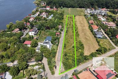 Teren Snagov – Aproape de Lacul Snagov și pădure - 3