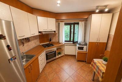 Apartament3 Camere Decomandat, Renovat Integral - Decebal – Piața Alba Iulia - 7