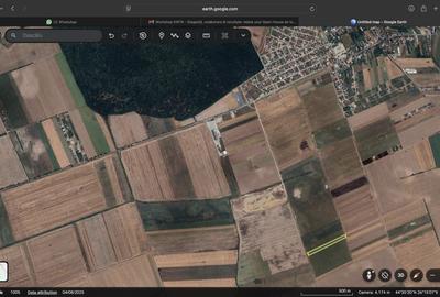 Teren agricol intravilan de 10000 mp, în Dascălu