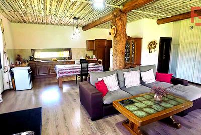 Cabana cu 7 camere de vanzare in Albac - V10073 - 17